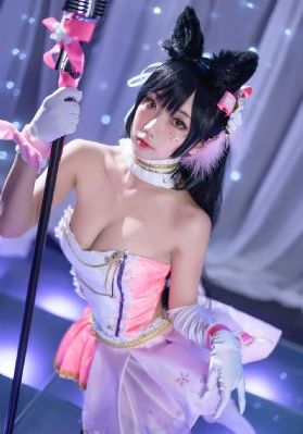 高校功夫女神